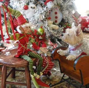 Meet your Posher, Pat